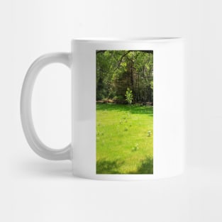 Pilgrimage Mug